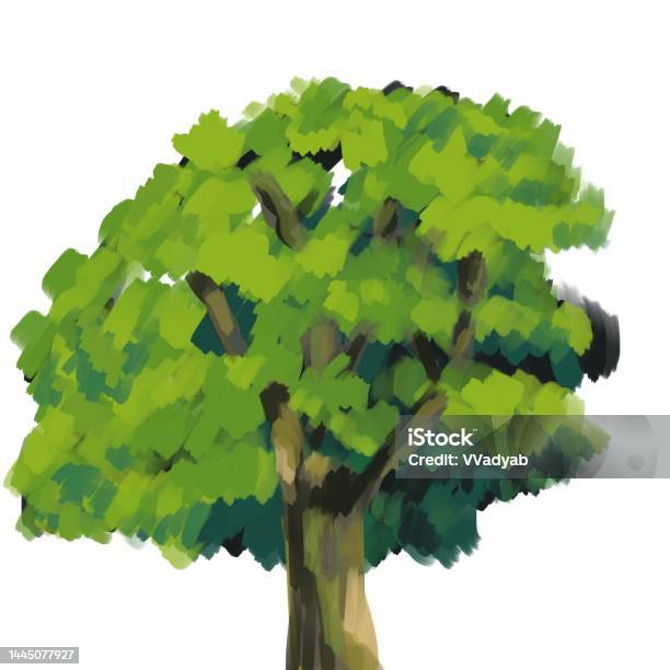 Amso Vector Tree With Leaves Stock Illustration - Download Image Now - Abstract ...