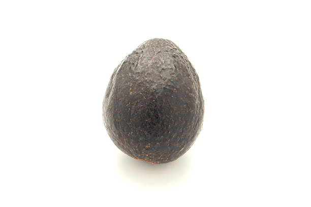 istock Avocado whole isolated on white background 1445078446