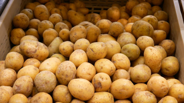 beaucoup de pommes de terre fraîches dans un panier d’échange - market raw potato fruit basket photos et images de collection