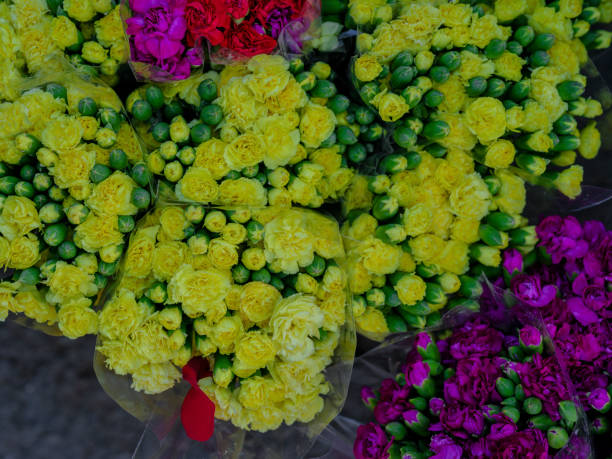 colorful flowers in the florist