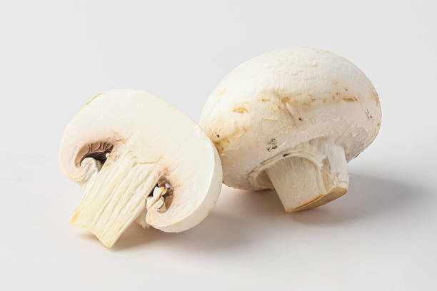 istock mushroom, toadstool, white mushroom, button mushroom isolated on white background 1445084214