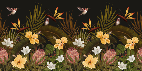 Vintage dark tropical background with protea, hibiscus flowers, leaves, hummingbirds, butterflies. Seamless border. premium wallpaper. Hand drawn, 3d illustration. Luxury mural for paper, packaging