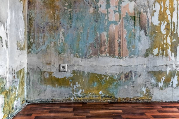 istock Real empty room corner mockup with clean linoleum floor, old worn walls and european socket 1445089426