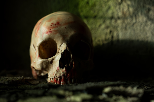 Human skeleton skull in dramatic low key light, corona covid-19 against pitch black background