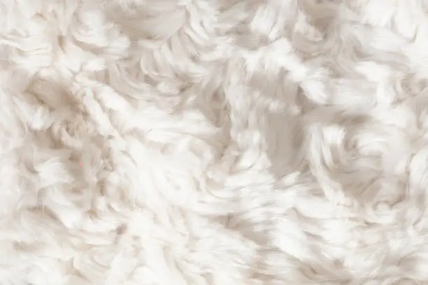 Photo of Background of white faux fur closeup.