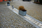square bordered by concrete look flowerpots with flowers and conifers from dwarf perfectly complements impression of square with bollards and backlighting. safe walking through the school, autumn,alopecuroides
