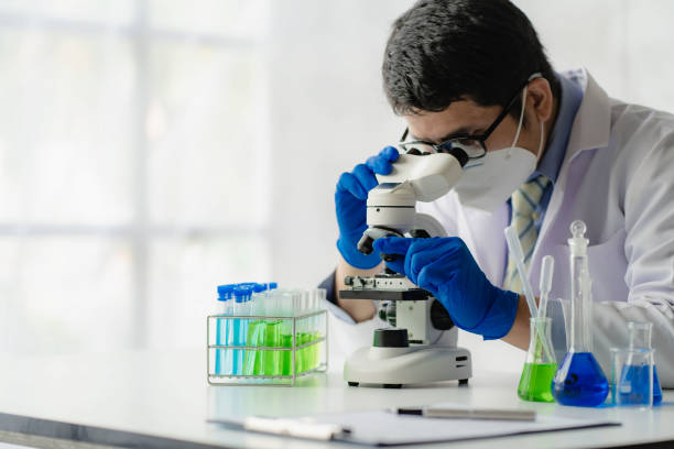 Laboratory experts working with test tube scientists. Chemist. Science technology concept. Research studies in chemistry and medical science stock photo