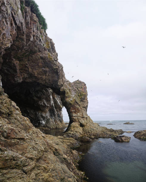 istock Natural stone arch on the sea shore 1445100888