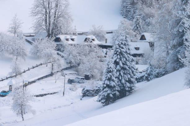 istock Snowy and magical winter landscape. 1445101165