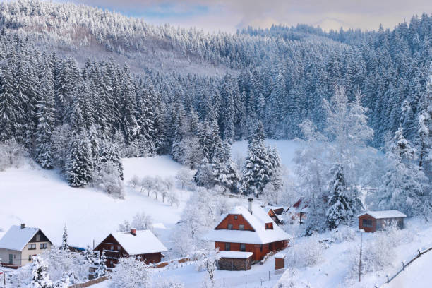 istock Snowy and magical winter landscape. 1445101309