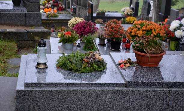 decorazione di tombe su ordinazione. preparazione per la stagione invernale con la posa di ramoscelli e ghirlande, la pulizia delle lapidi in pietra di granito e l'accensione di candele. pietra tombale e pietra nella tua zona. copertura dell'ago, cimitero - bare tree foto e immagini stock