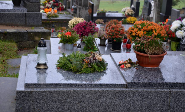 decoration of graves to order. preparation for winter season by placing twigs and wreaths, cleaning granite stone tombstones and lighting candles. tombstone and stonework in your area. cover of needle, graveyard decoration of graves to order. preparation for winter season by placing twigs and wreaths, cleaning granite stone tombstones and lighting candles. tombstone and stonework in your area. cover of needle, thuja, memorial service, stonework, floristry, gravestone, gold architectural stele stock pictures, royalty-free photos & images