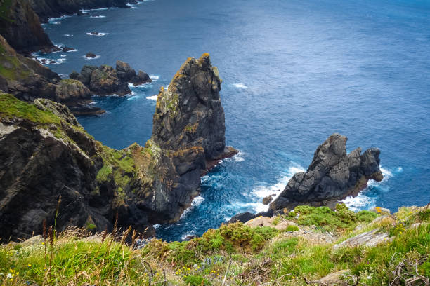 istock Cape Ortegal cliffs and atlantic ocean, Galicia, Spain 1445107370