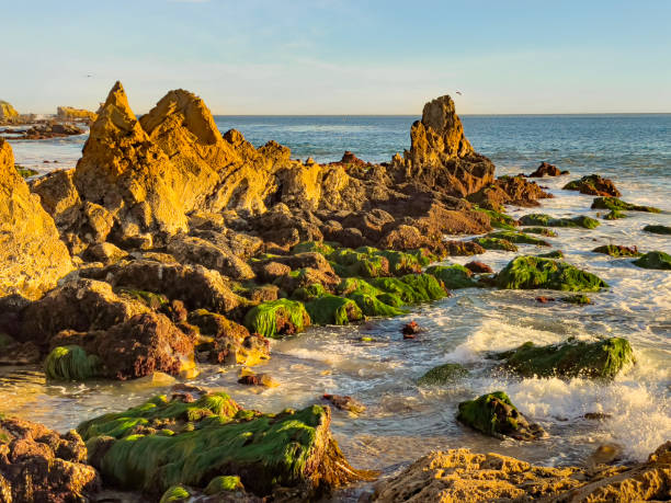 Corona Del Mar Beach, california