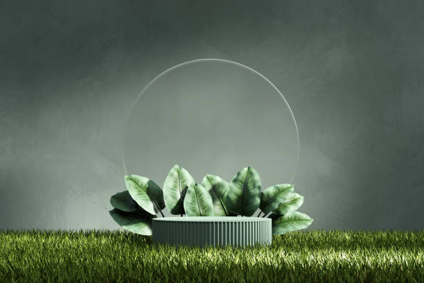 istock 3D rendering platform podium with plant product presentation background 1445123074