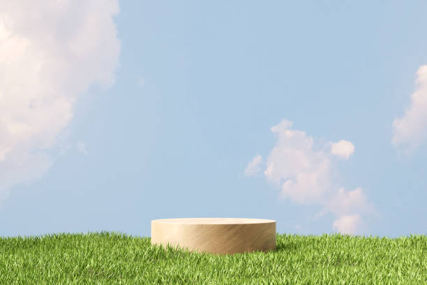 istock 3D rendering platform podium with plant product presentation background 1445123088