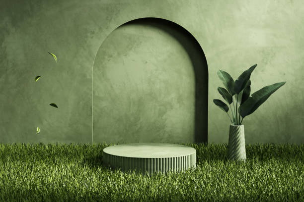 istock 3D rendering platform podium with plant product presentation background 1445123101