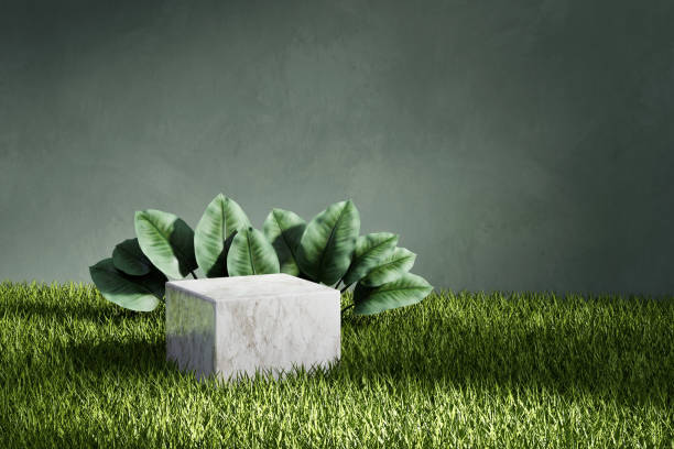 istock 3D rendering platform podium with plant product presentation background 1445123118