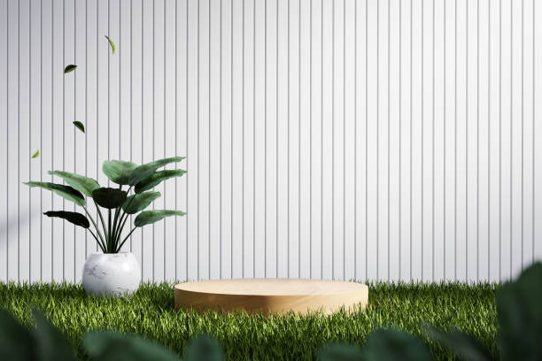 istock 3D rendering platform podium with plant product presentation background 1445123153