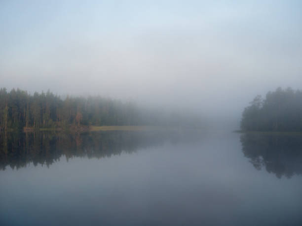 istock morning mist over forest lake in summer 1445123914