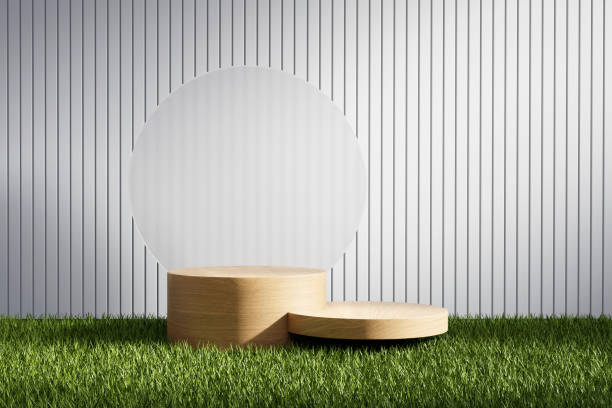 istock 3D rendering platform podium with plant product presentation background 1445123952