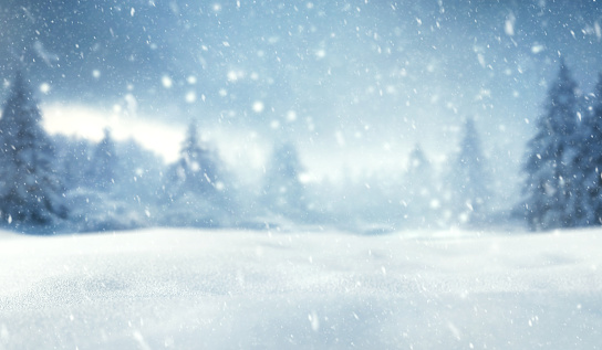 Winter and christmas snowy background with snowdrifts and snow-covered blur forest. Cold winter time landscape with free space.
