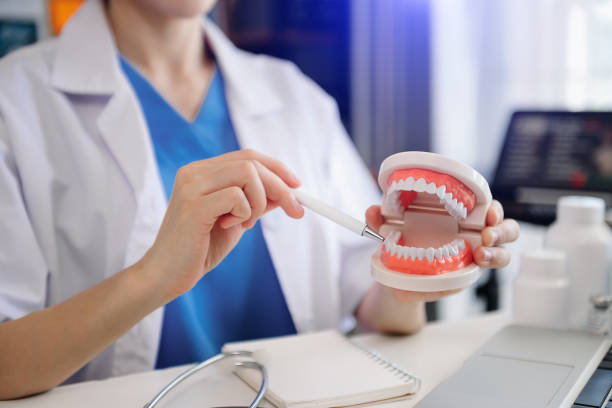 istock Dentist sitting at table with jaw samples tooth model and working with tablet and laptop in dental office professional dental clinic. medical doctor working 1445125406