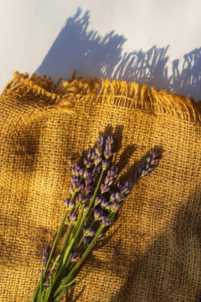istock Lavender flowers lie on burlap. 1445128283