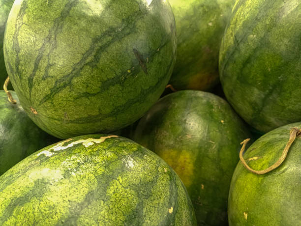 istock round watermelons, neatly stacked, in a fruit shop 1445130149