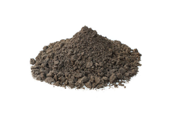 istock pile of mixed fertilizer and soil isolated on white. 1445130346