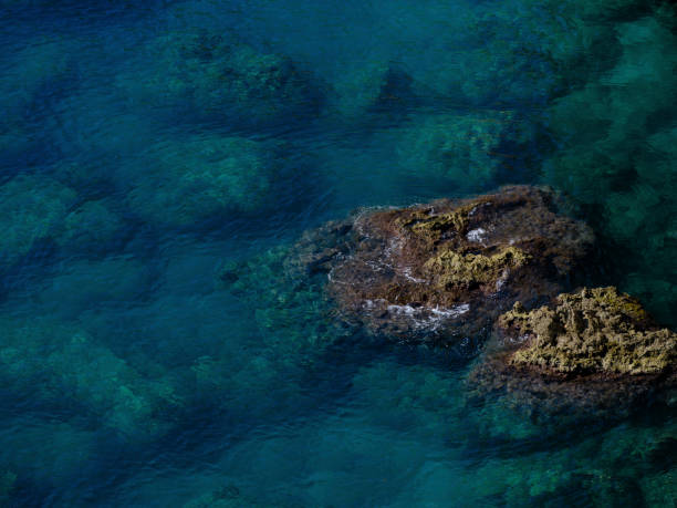 istock cliffs and blue sea on the beach 1445131147