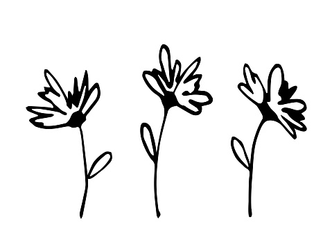 Simple black outline vector drawing. Small flowers on a stem, floral elements. Nature and vegetation. Sketch in ink.