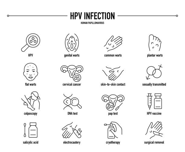 HPV Infection, Human Papillomavirus vector icon set HPV Infection, Human Papillomavirus symptoms, diagnostic and treatment icon set. Line editable medical icons. genital herpes stock illustrations
