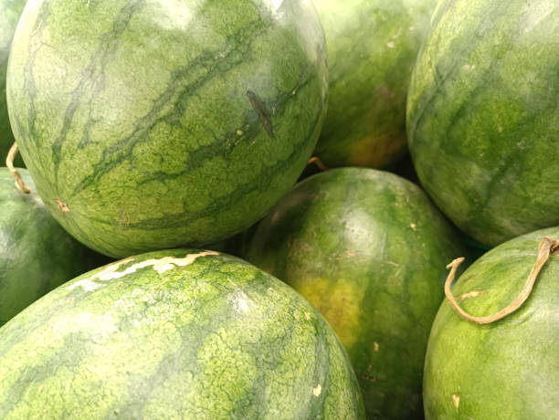 istock round watermelons, neatly stacked, in a fruit shop 1445131740