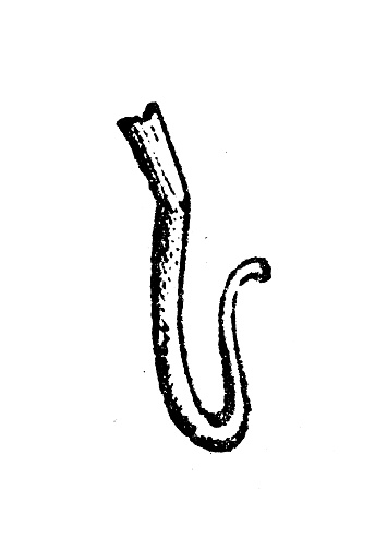Antique engraving illustration: Hook