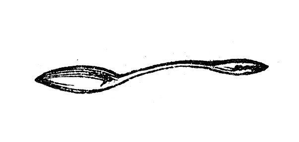 Antique engraving illustration: Spoon