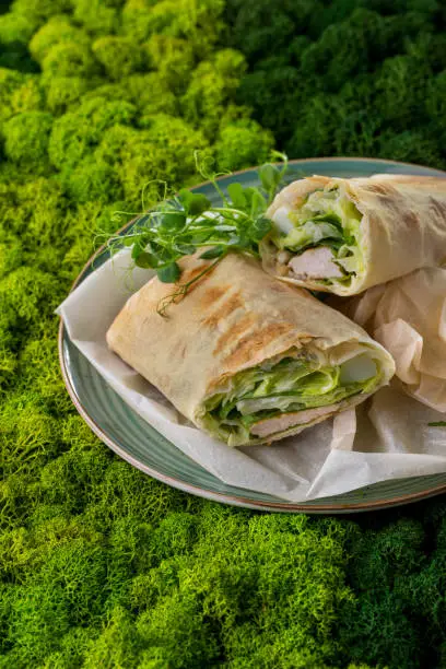 Shawarma with chicken, lettuce, microgreen, garlic sauce on parchment, a blue plate, on a green-light green background of stabilized moss.