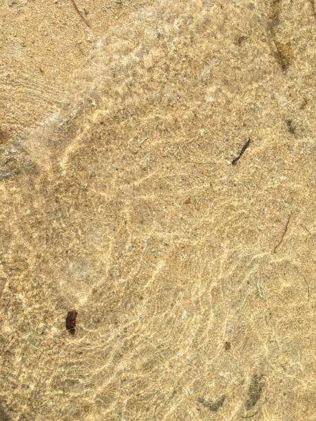 istock abstract sand of beach and soft wave background 1445134477