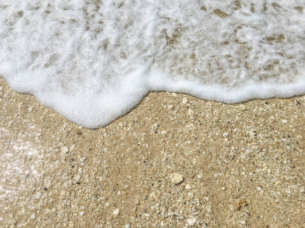 istock abstract sand of beach and soft wave background 1445134668