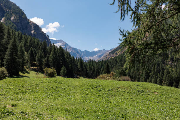 chaîne de montagnes des alpes italiennes par une journée d’été ensoleillée - vue sur la prairie verte et le ciel bleu - grass area hill sky mountain range photos et images de collection