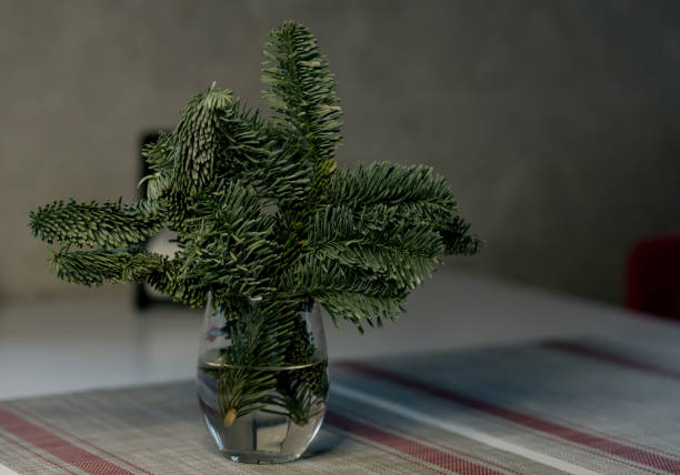 istock Christmas tree branch in a glass vase. 1445135906