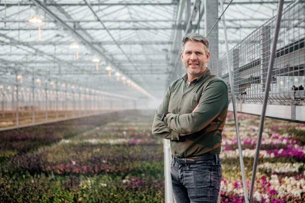 A male management owner in an Orchid Greenhouse in Holland stock photo