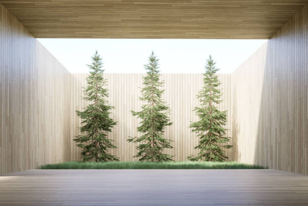 istock Modern contemporary style terrace with pine and hay garden background 3d render 1445142358