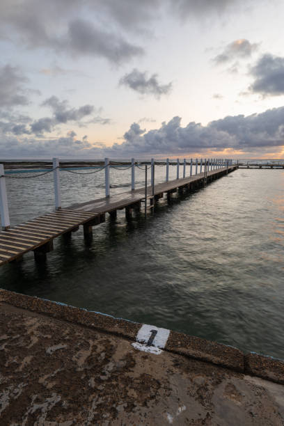 istock Morning at Narrabeen rock pool 1445142481