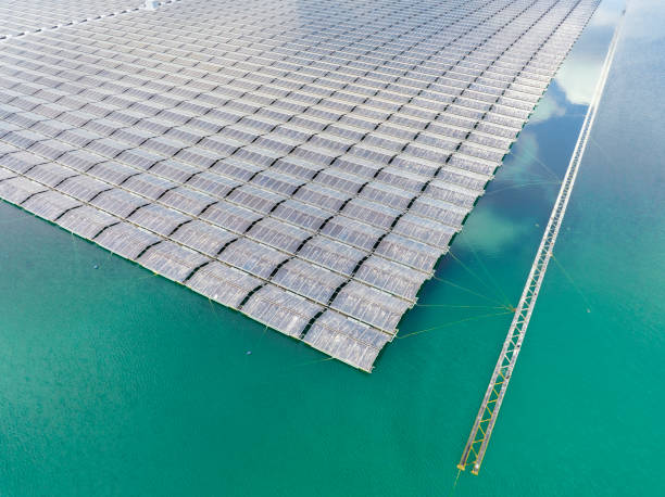 istock Floating solar farm producing clean renewable electricity energy seen from above 1445142553