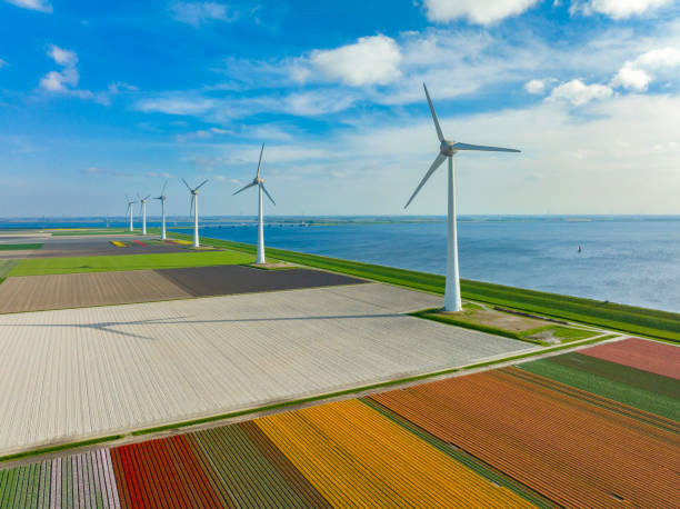 istock Windturbines on a levee with tulips growing in agricutlural fields during springtime 1445142577