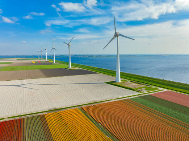 istock Windturbines on a levee with tulips growing in agricutlural fields during springtime 1445142729