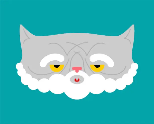 Vector illustration of Old cat isolated. Grandpa cat. Vector illustration.