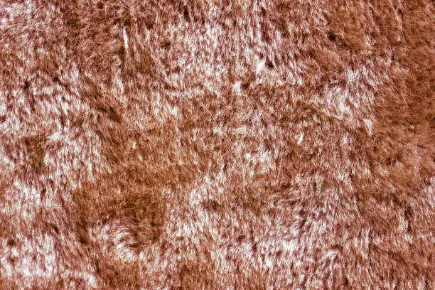 Fur background texture. Winter fashion pattern