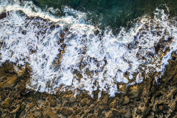 istock Ocean waves crashing on rocks on the beach, aerial drone view 1445153564